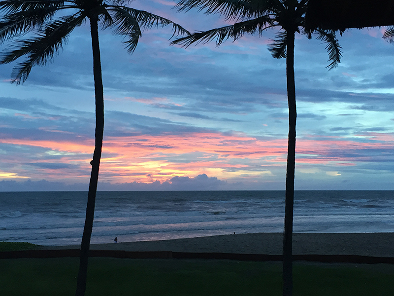 東南アジアでの事業